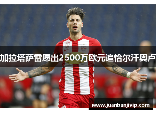 加拉塔萨雷愿出2500万欧元追恰尔汗奥卢